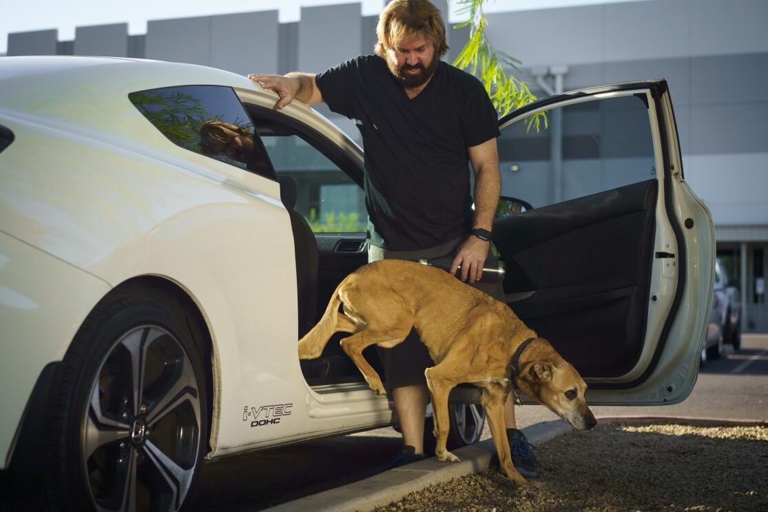 A dog steps out of a parked car. A man holds the door open for her.