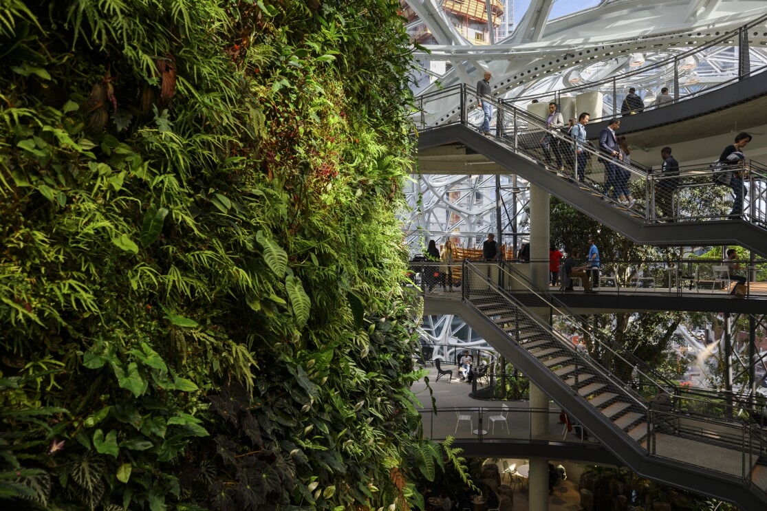 Visitors climb staircases near the living wall inside The Spheres.