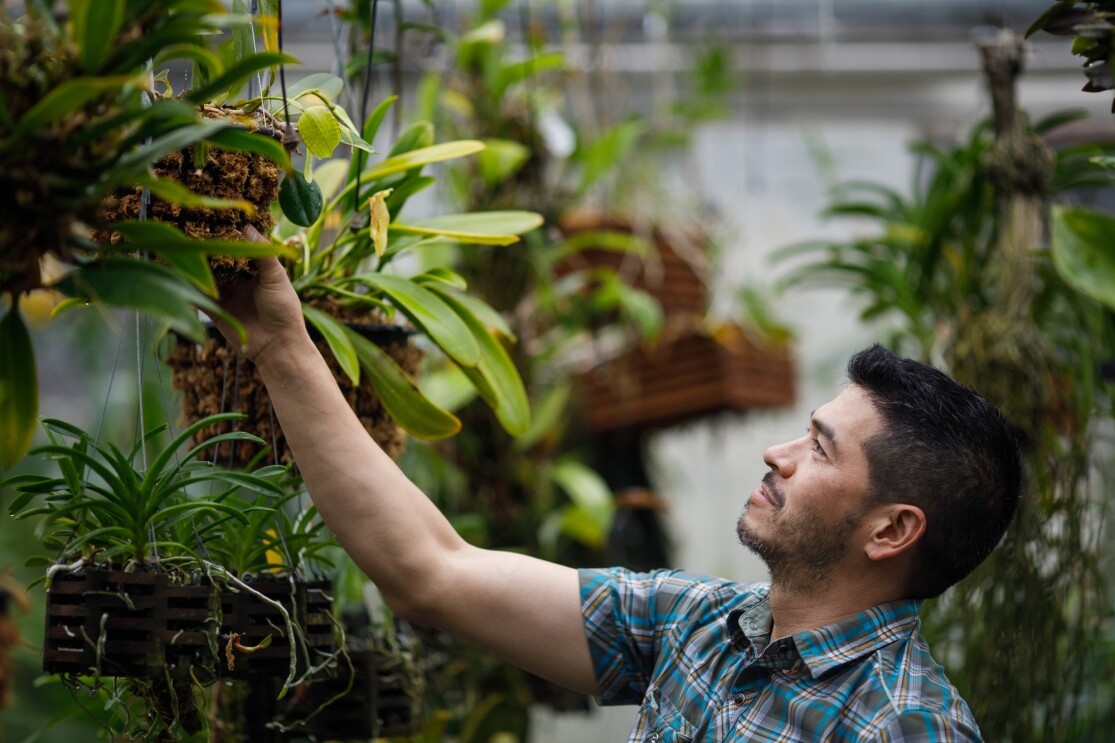 Amazon horticulturist Michael Fong in greenhouse