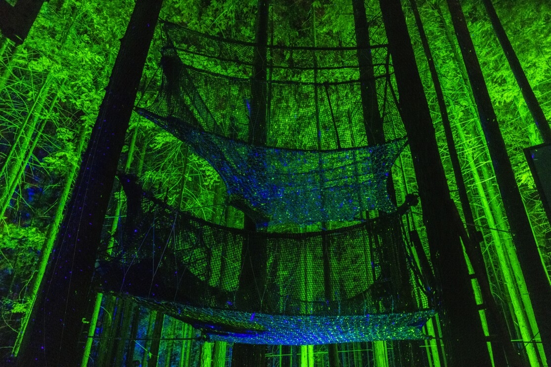 Trees and a series of large cargo nets bathed in blue and green light.