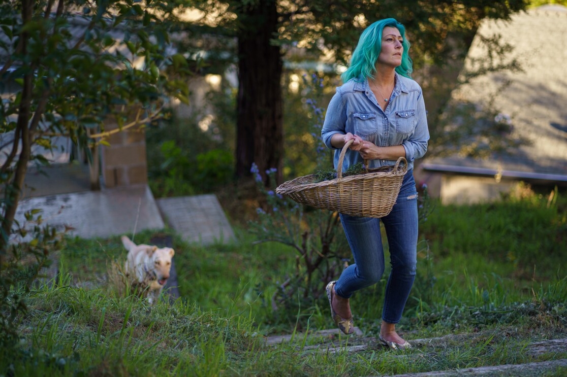 A dog trails a woman walking through a grassy area carrying a basket.