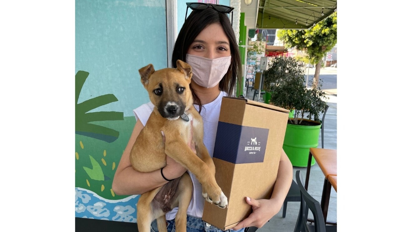 New puppy owners hold their new puppy and a Rocco & Roxie box.