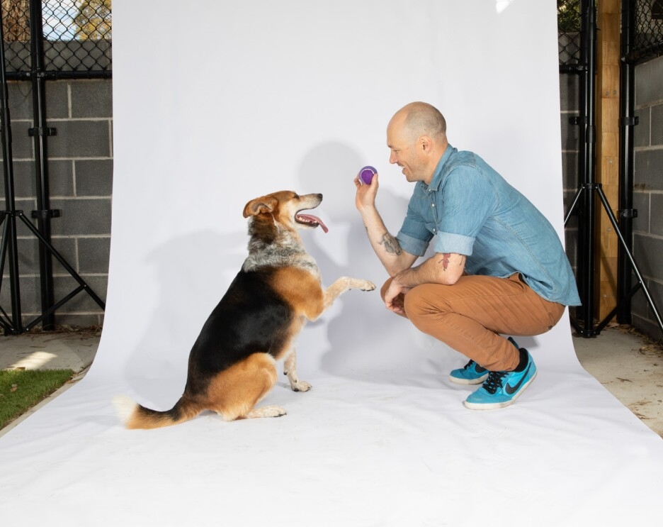 A man wearing a denim shirt, khakis, and tennis shoes crouches down, and holds a ball, in front of a dog with a paw extended and his tongue hanging out. They are on a white backdrop.