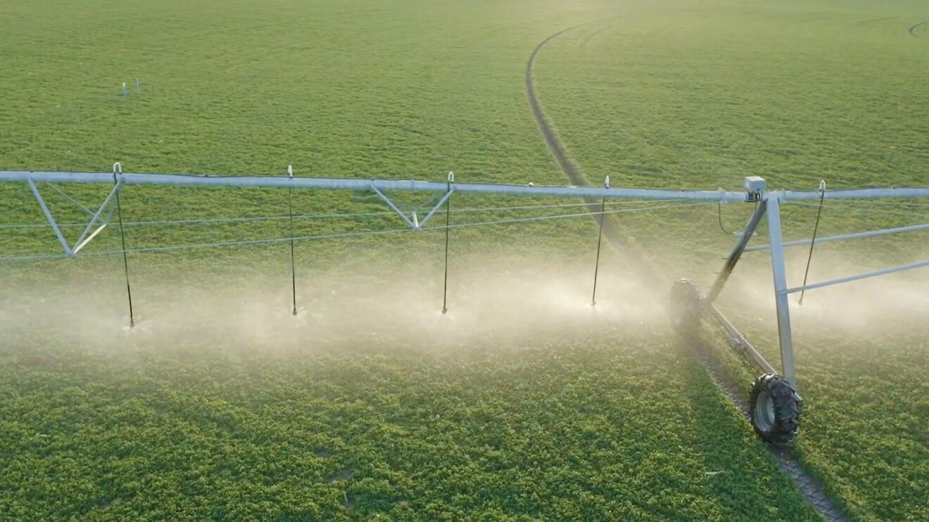 An image of a farming field being watered by a large sprinkler system.