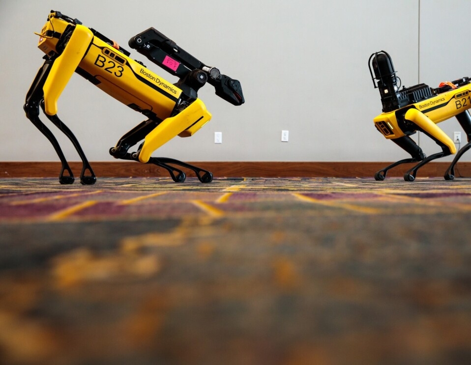 Two Boston Dynamics robot dogs engage with one-another at re:MARS conference in Las Vegas, Nevada.