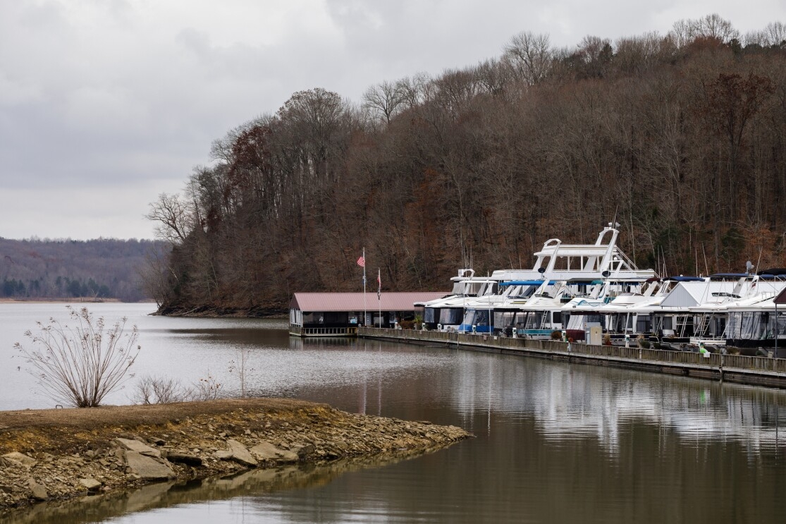 Boats moored along a lake fringed by woods. 