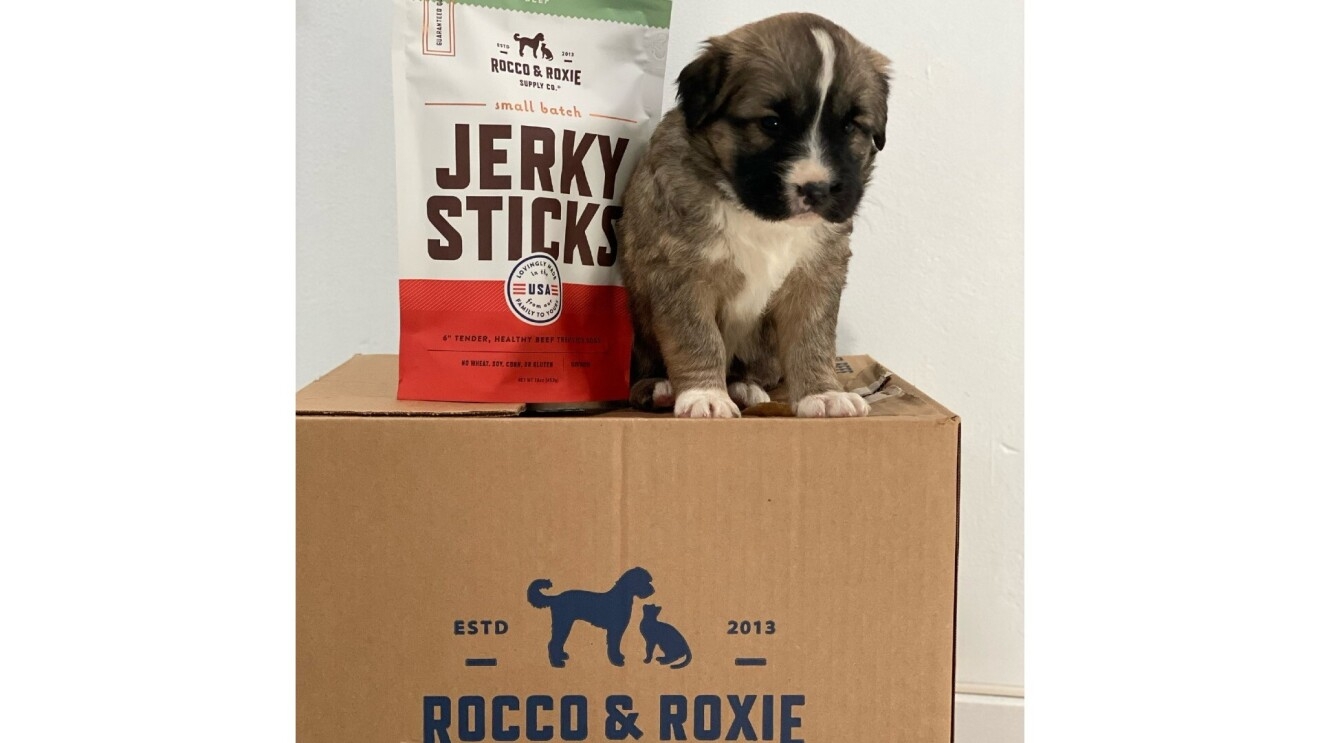 A puppy sits on top of a Rocco & Roxie box with a package of Jerky Sticks right next to him.