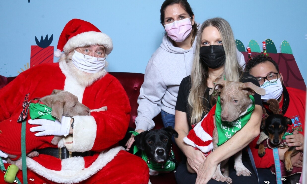 Three people each with a dog sit next to Santa who is also holding a dog.