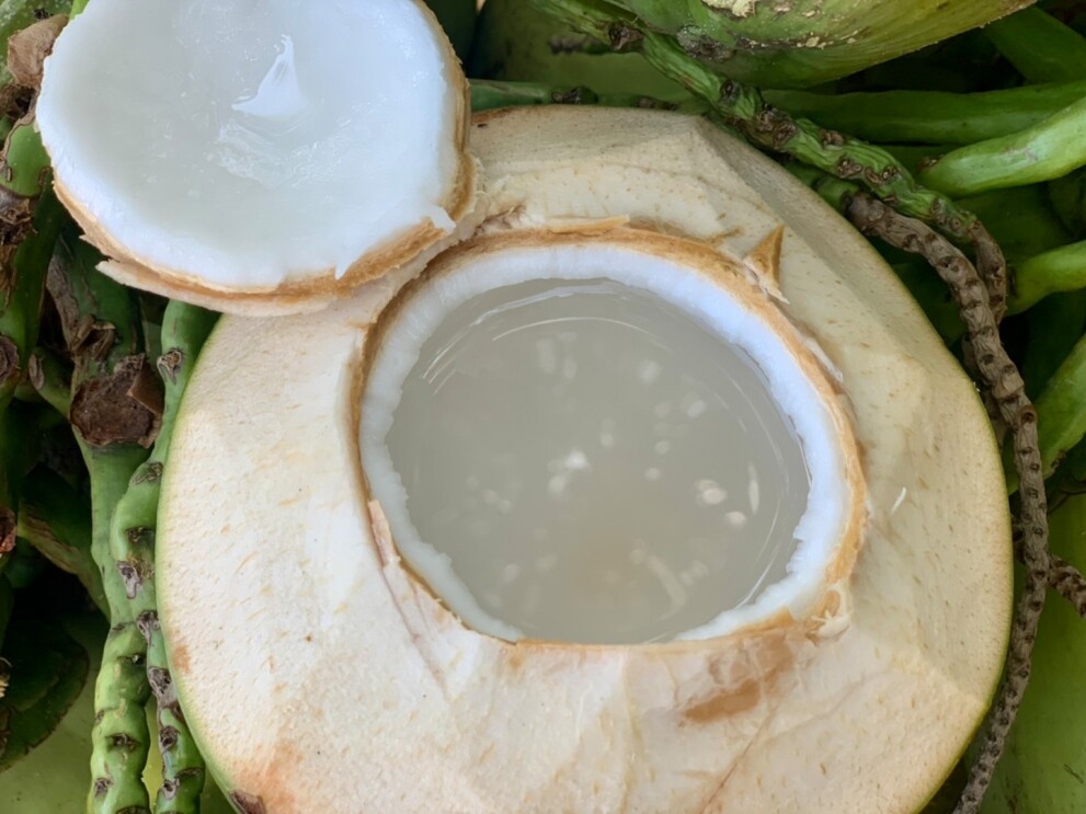 An image of an opened coconut. There is a hole in the center of the coconut that shows the water inside. 