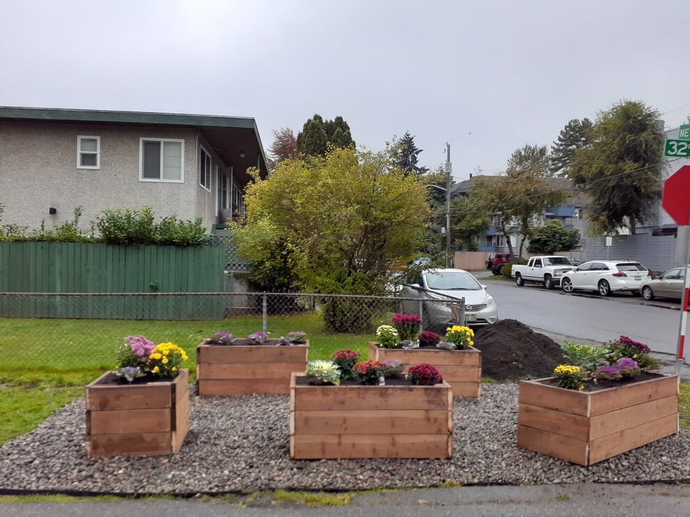 Urban farm being planted in Seattle