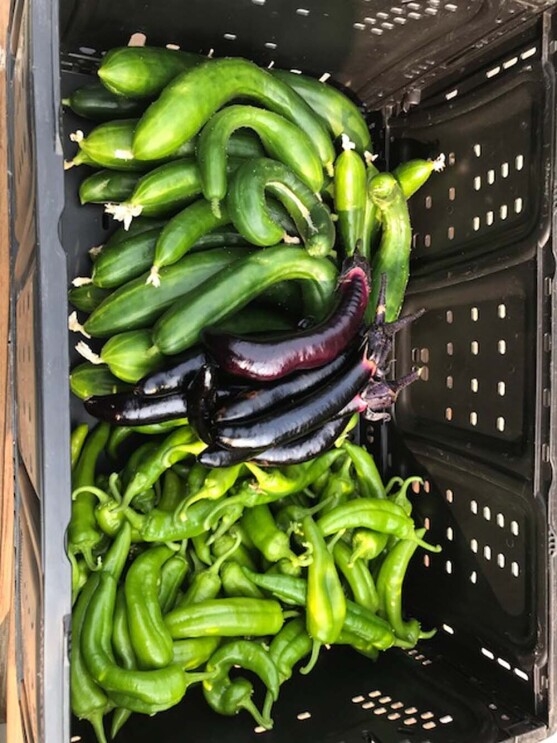 Amazon's rooftop organic vegetable garden, providing the harvest to FareStart restaurant