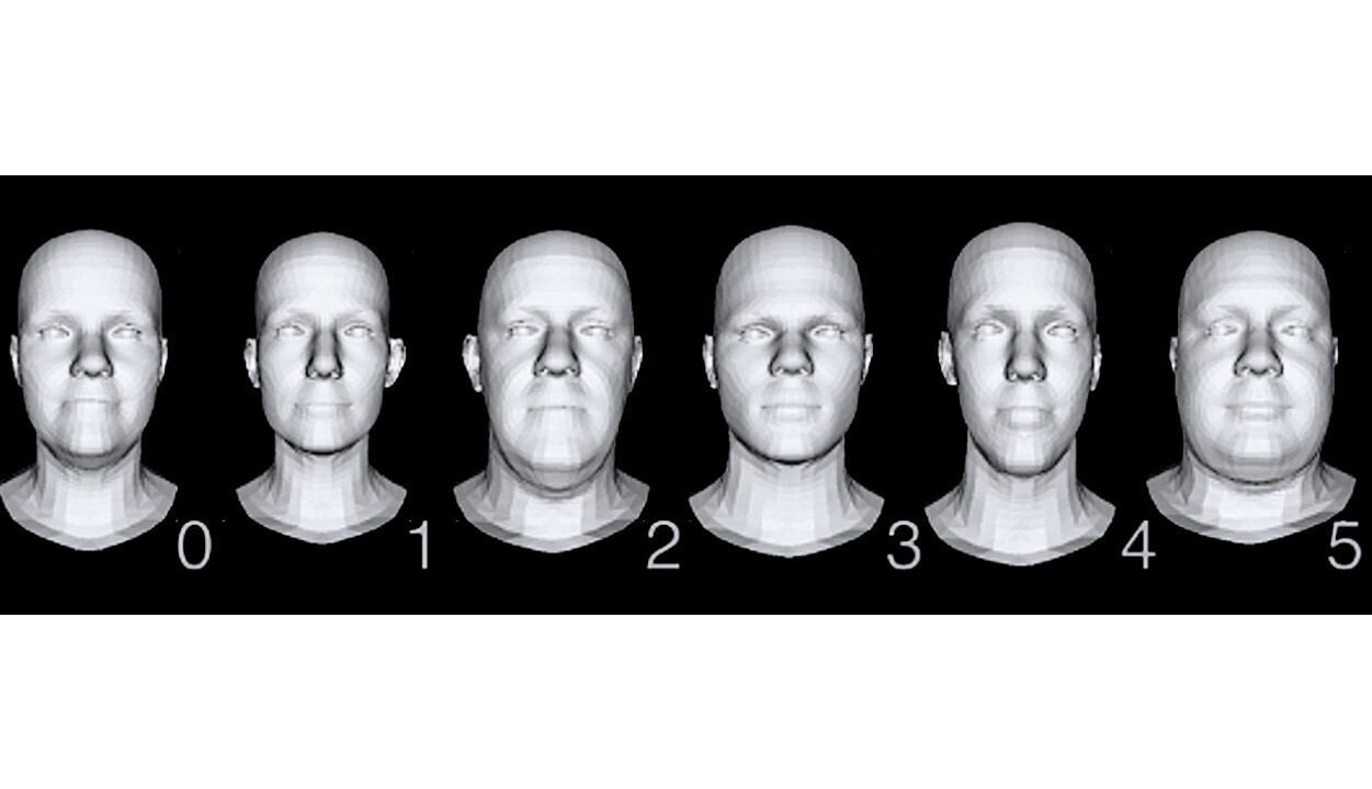 Six mannequin head graphics to test the mask sizes.