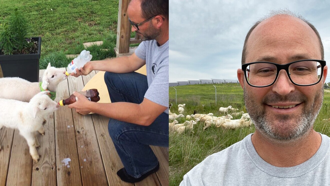 Selfie of Daniel Bell with his sheep in the background. The image beside it shows Daniel Bell feeding two sheep through soda bottles.