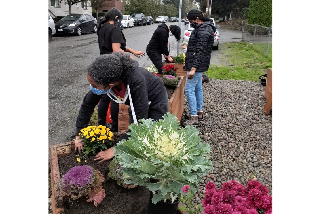 Urban farm being planted in Seattle