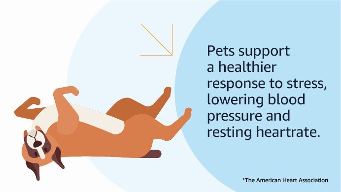 An image of a stat card sharing how dogs benefit their owners' health.